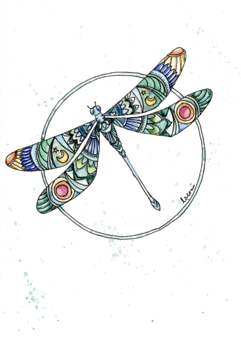portfolio image