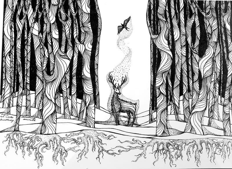portfolio image